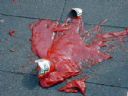 gosowanie na najlepszy ketchup - Kasha_Krk