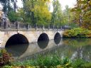Aparaty cyfrowe: zdj�cia, jaki kupi�, porady : cz. 171 - lhmjkojkm