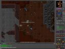 Tibia - cz�� 16 - Tirane