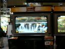 Dragon Ball Z Burst Limit - kub12