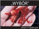 Super wa�ne - Ameryka�ska ustawa o wolno�ci wyboru (FOCA) - Mr  X