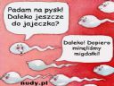 potrzebuje czego mocnego... - Mazio