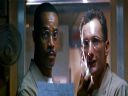 Filmo�ercy - jaki to film? :::kadr 391::: - sparrhawk