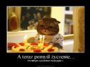 Wtek Urodzinowy Jerryzzza! - Saul Hudson