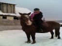 >>Jak wygl�dacie - [Zdj�cia] Part 212.<< Jingle Bells! - Snopek89