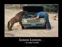 problem dla jakiego kozaka!! - toaster