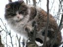 Izolatka | Cela 79 | �wi�ta za pasem, a req wi�cej nie pije! - promyczek303