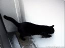 S�siad sprz�taj�c balkon, wyrzuca wszystko na m�j balkon - msapps