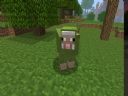 MINECRAFT - UPDATE EDITION [6]  - beta edition - Ragnus