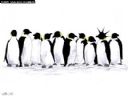 Linux Cult ... cz. 25 - slowik