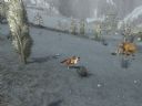 The Lord of the Rings Online | Cz�� 3 - amea