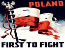 Co zrobic z polska flaga? - Vangray
