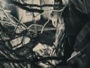 Filmo�ercy - jaki to film? :::kadr 378::: - Yaca Killer