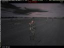 ArmA: Armed Assault [cz�� 40] - T_bone