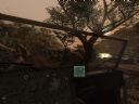Far Cry 2 - Oficjalny W�tek [1] - Pl@ski