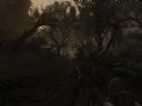 Far Cry 2 - Oficjalny W�tek [1] - Pl@ski