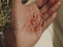 Filmo�ercy - jaki to film? :::kadr 379::: - Yaca Killer