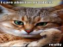 jechac czy nie jechac? - Endemic_thought