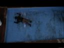 Filmo�ercy - jaki to film? :::kadr 379::: - rychu666