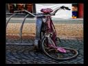 Aparaty cyfrowe: zdj�cia, jaki kupi�, porady : cz. 217 - smuggler