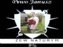 Piwo Janusz 9% - sebu9