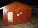 Izolatka | Cela 76 | Szumi� jod�y w Tel-Avivie - promyczek303