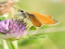 Aparaty cyfrowe: zdj�cia, jaki kupi�, porady : cz. 217 - N2