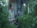 Filmo�ercy - jaki to film? :::kadr 396:::  - Mr. Orange