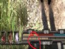 Gothic * Gothic 2 * Gothic 3 * Arcania * Risen (cz. 162) - Szenk