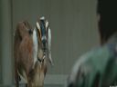 Filmo�ercy - jaki to film? :::kadr 396:::  - david_fc