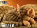 Ddw Cwtwwszdnk. I pozdrowi� wszystkich !!! (848) - 228 - Orlando