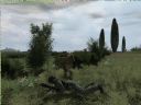 ArmA: Armed Assault [cz�� 41] - T_bone