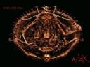 Sepultura "A-Lex" (26.01.2009r.): This is Not Life! - Czesiek_Alcatraz