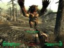 Fallout 3 Postapokaliptyczny fotograf, czyli najciekawsze SCREENY i scenki z VATS-a + pytania o questy - eJay