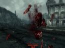 Fallout 3 Postapokaliptyczny fotograf, czyli najciekawsze SCREENY i scenki z VATS-a + pytania o questy - Drifter034