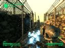 Fallout 3 Postapokaliptyczny fotograf, czyli najciekawsze SCREENY i scenki z VATS-a + pytania o questy - Palladin6