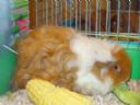 Nienawidz� �ycia - Aragorn Potomek Elendila