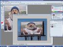 Photoshop ?! - Mipari