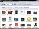 Zabawa: uczymy si� obs�ugi images.google? - Lethos