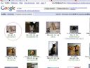 Zabawa: uczymy si� obs�ugi images.google? - Revanisko