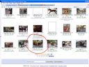 Zabawa: uczymy si� obs�ugi images.google? - eLJot