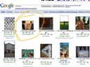 Zabawa: uczymy si� obs�ugi images.google? - Revanuuuu