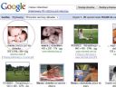 Zabawa: uczymy si� obs�ugi images.google? - Revanisko