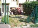 Zabawa: uczymy si� obs�ugi images.google? - maviozo