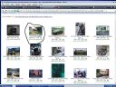 Zabawa: uczymy si� obs�ugi images.google? - Mipari