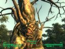 Fallout 3 Postapokaliptyczny fotograf, czyli najciekawsze SCREENY i scenki z VATS-a + pytania o questy - Misiaty