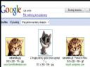Zabawa: uczymy si� obs�ugi images.google? - Herman_