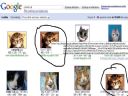 Zabawa: uczymy si� obs�ugi images.google? - Mipari