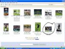 Zabawa: uczymy si� obs�ugi images.google? - Cliffton