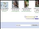 Zabawa: uczymy si� obs�ugi images.google? - Herman_